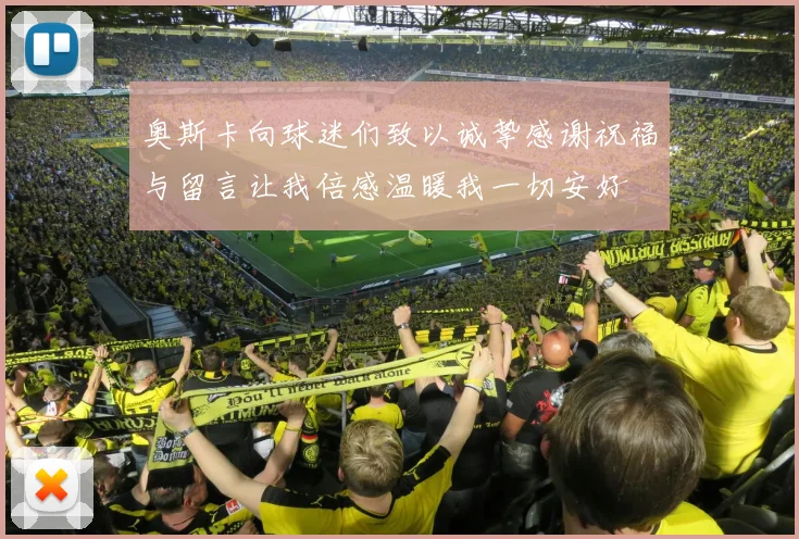 奥斯卡向球迷们致以诚挚感谢祝福与留言让我倍感温暖我一切安好