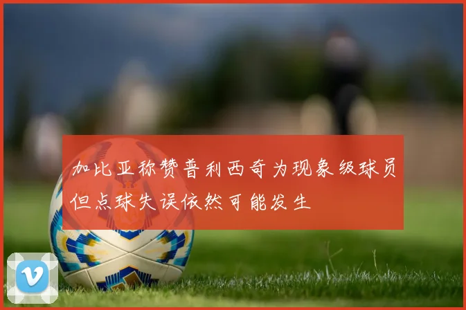 加比亚称赞普利西奇为现象级球员但点球失误依然可能发生
