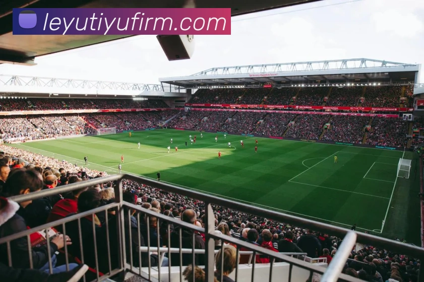 App Interface Preview