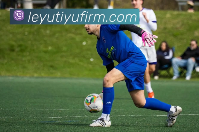 乐鱼体育APP 封面图